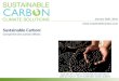 Sustainable Carbon Presentation