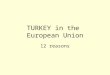 Turkey In The Eu