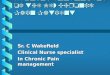 Nursing Assessment Of The New Chronic Pain Patient   Sr Christine Wakefield