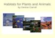 Habitats for plants and animals