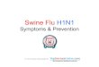 Swine Flu H1 N1 Info Symptoms Prevention Treatment Version 2