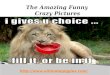 Funny Crazy Pictures