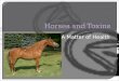 Horses Toxins