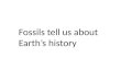 Fossils tell about earth's history (teach)