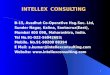 Intellex Consulting