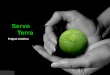 Project Confero, Team Servo Terra Singapore