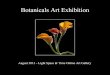 Botanicals Art Exhibition Event Catalogue