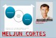 MELJUN CORTES Analysis concepts and principles