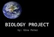 Bioo Project