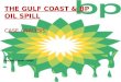 Bp oil spill case study