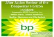 BP survival (AAR Deepwater Horizon) - Dec.13, 2013