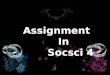 my assignment in socsci