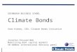 Sean Kidney, CEO Climate Bonds Initiative (4.03.13)