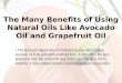The Many Benefits of Using Natural Oils Like Avocado Oil and Grapefruit Oil