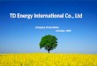 Td Energy International Profile 1117