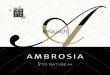 Relaunch ambrosia engels maart 2012 (2)