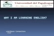 Why i am learning english