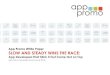 Slow steady apppromo-whitepaper2013