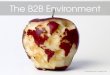 The B2B External Environment