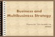 Multi business strategy
