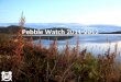 27011 bbnc pebble watch 2011 mar-v3 ag-ss