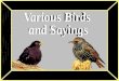 Birdsand sayings