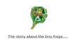 story of a Frog