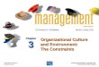 Chap 3 organizational culture and environment the constraints management by robbins & coulter 9 e