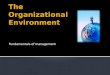 The organizational environment