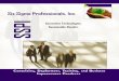 Six Sigma Professionals, Inc