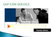 Crm service updated (PPT)