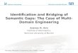 Identification and Bridging of Semantic Gaps: The Case of Multidomain Engineering