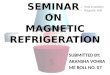 magnetic refrigeration system