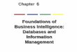 6 - Foundations of BI: Database & Info Mgmt