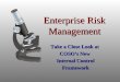 Enterprise risk-mgmt[1]