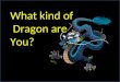 What Kind of Dragon are You