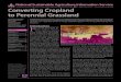 Converting Cropland to Perennial Grassland