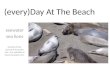 See the Seewater San Simeon Seals Slide Show
