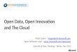 Open Data Open Innovation and The Cloud   gayler berlin nov12