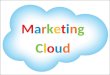 Marketing Cloud - Database Marketing - The New Frontier