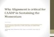 Why Alignment is critical for CAADP in Sustaining the Momentum