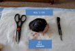 Eye Dissection Ppt