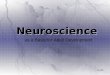 2 HUS 133   Neuroscience