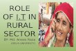 Role of IT in rural sector by Anees Raza