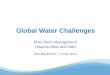 Global water challenges River Basin Management Opportunities and Risks