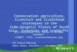 Conservation agriculture, livestock and livelihood strategies in the Indo-Gangetic Plains of South Asia: Synergies and tradeoffs