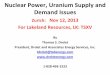 Nuclear Power, Uranium Supply and Demand Issues - by Lakeland Resources Inc. Advisor Tom Drolet