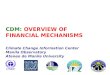 Overview of CDM financial mechanisms