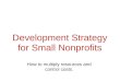 Development Strategy For Small Non