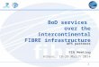 Pilot Use Case 3: BoD services  over the intercontinental FIBRE infrastructure